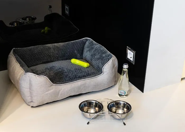 Appartement Z Jacuzzi Life Centrum Bielsko-Biała